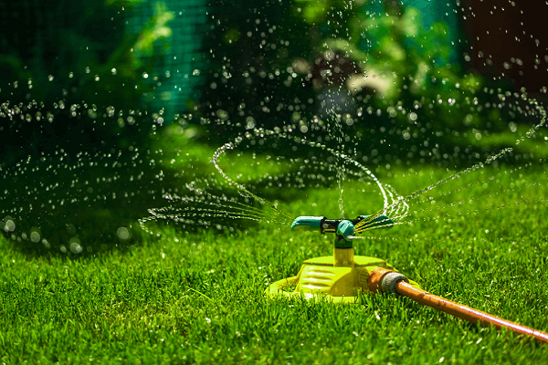 garden-watering-of-a-sprinkle