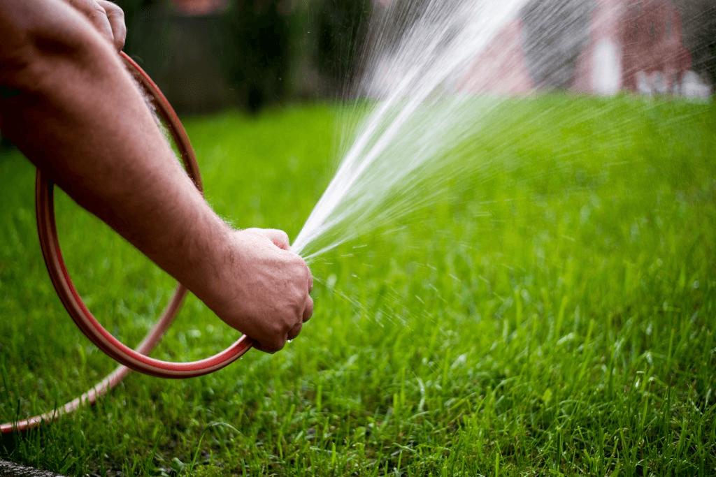 man-watering-garden-with-soaker-hose